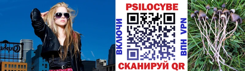 Псилоцибиновые грибы Psilocybe Пыталово